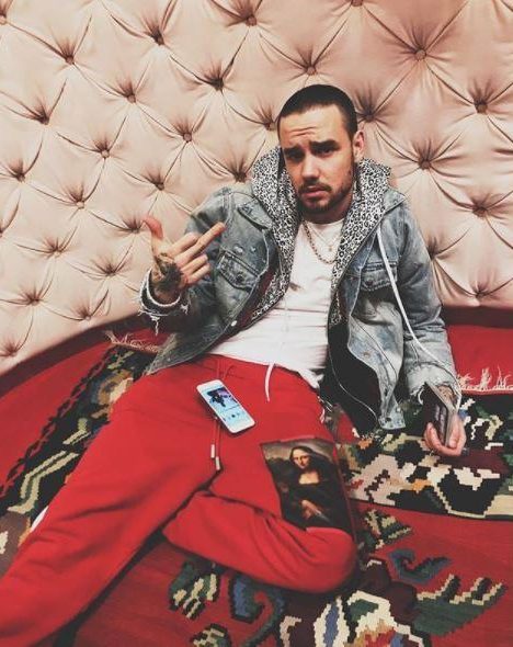  Liam Payne shares photo on his jet as he travels around the world to promote and work on new music