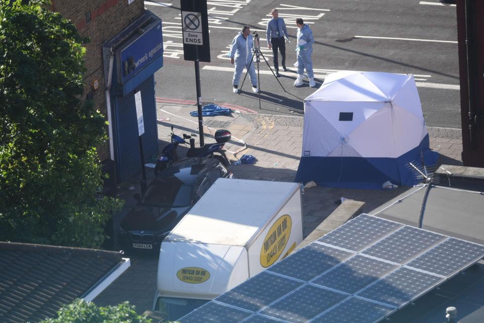  Darren Osborne faces a life sentence today if judge Mrs Justice  Cheema-Grubb rules the attack in Finsbury Park, North London, on June 19 was terrorism