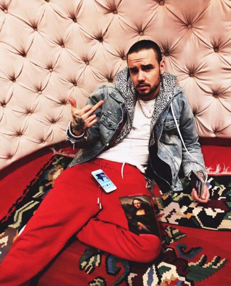  Liam Payne shares photo on his jet as he travels around the world to promote and work on new music