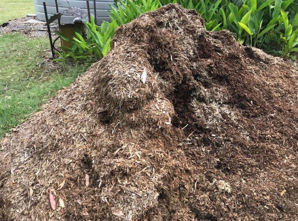  Can you spot the snake lurking in this compost heap? Scroll down for the answer