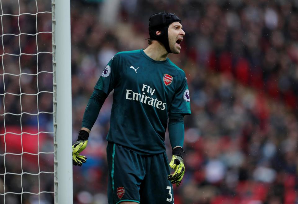  Arsene Wenger could look to bring in a replacement for the ageing Petr Cech