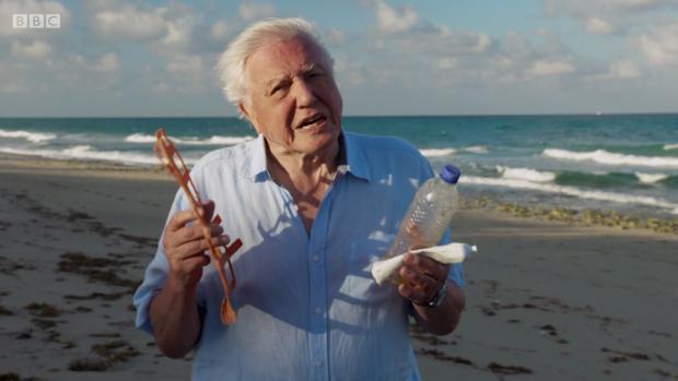  Sir David Attenborough's documentary Blue Planet II is inspiring companies to ditch plastic