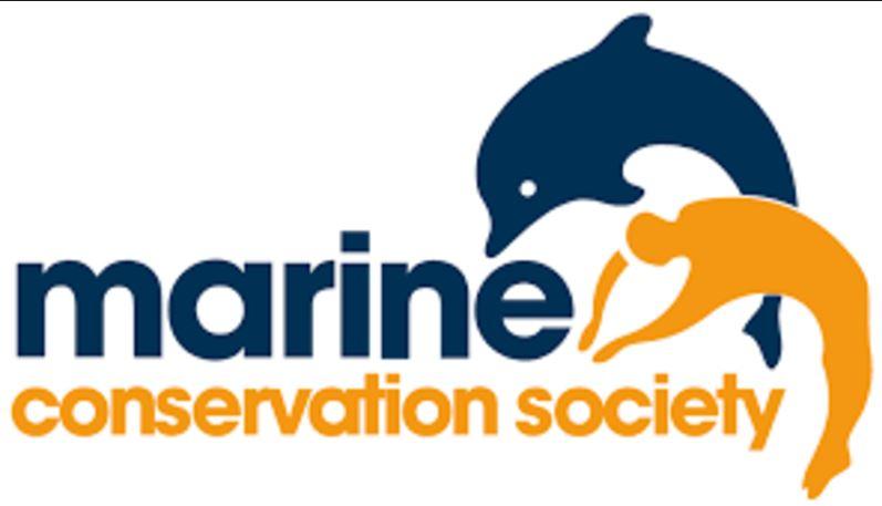  'If we want to avoid seeing turtles trapped in bags and six-pack wrappers and whales washed up on shores dead from ingesting plastic'