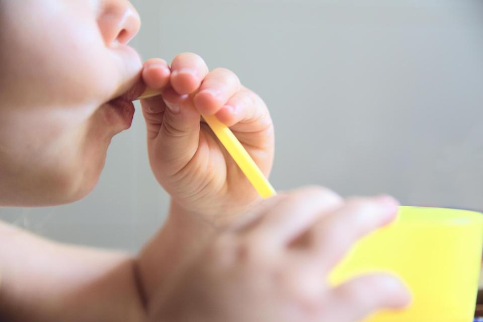  The Government is poised to introduce a ban on plastic straws