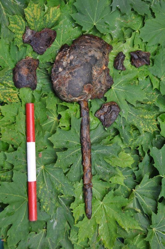 One of the impaled human heads found on the site