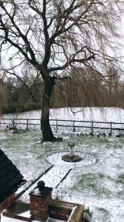  Jeremy McConnell was also shocked at how much snow had covered his back garden