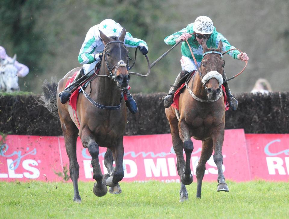  Our Duke (left) returned to winning ways on his last start