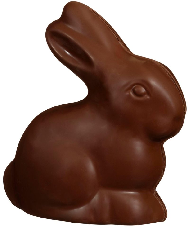  The tempting treat is nearly the size of a small real life bunny