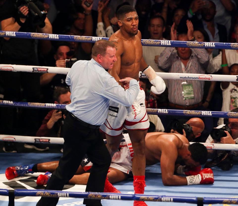  Joshua beat Breazeale inside seven rounds during their summer fight