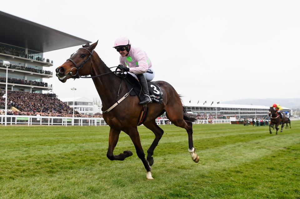  Douvan will be saddled by Ruby Walsh for Wednesday's Champion Chase