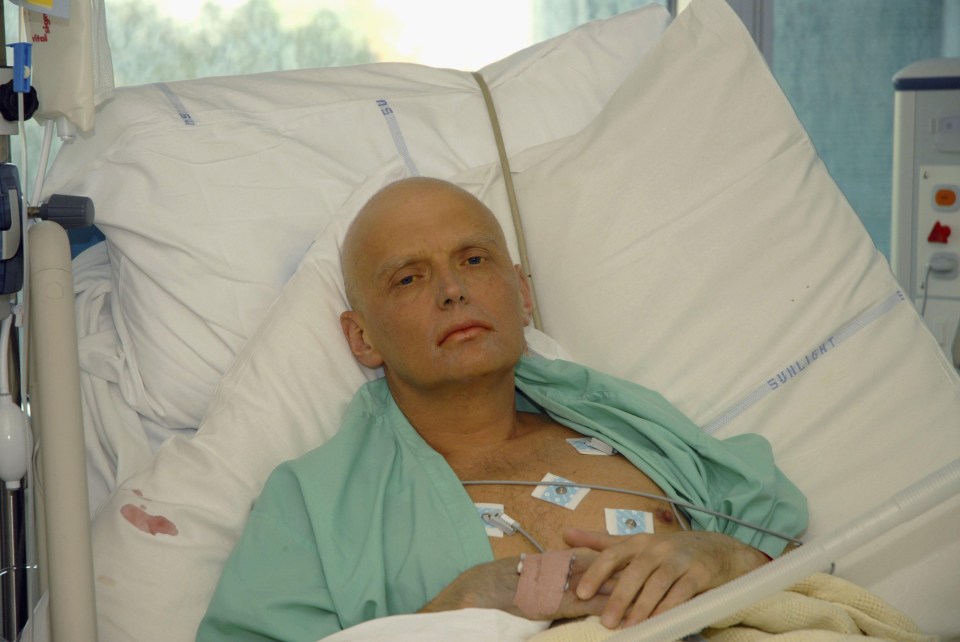 Alexander Litvinenko was assassinated in the UK in 2006