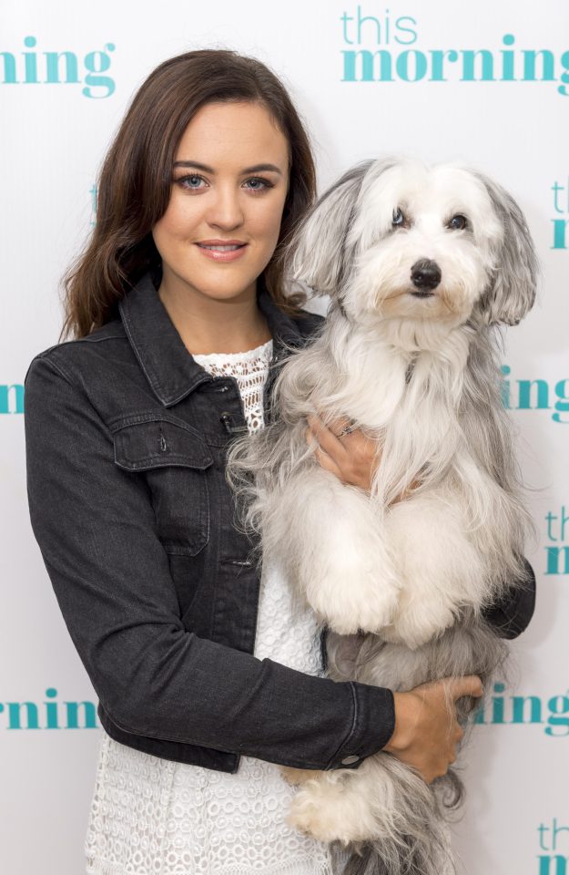  Ashleigh says new pooch Sully has 'stepped up' to the plate