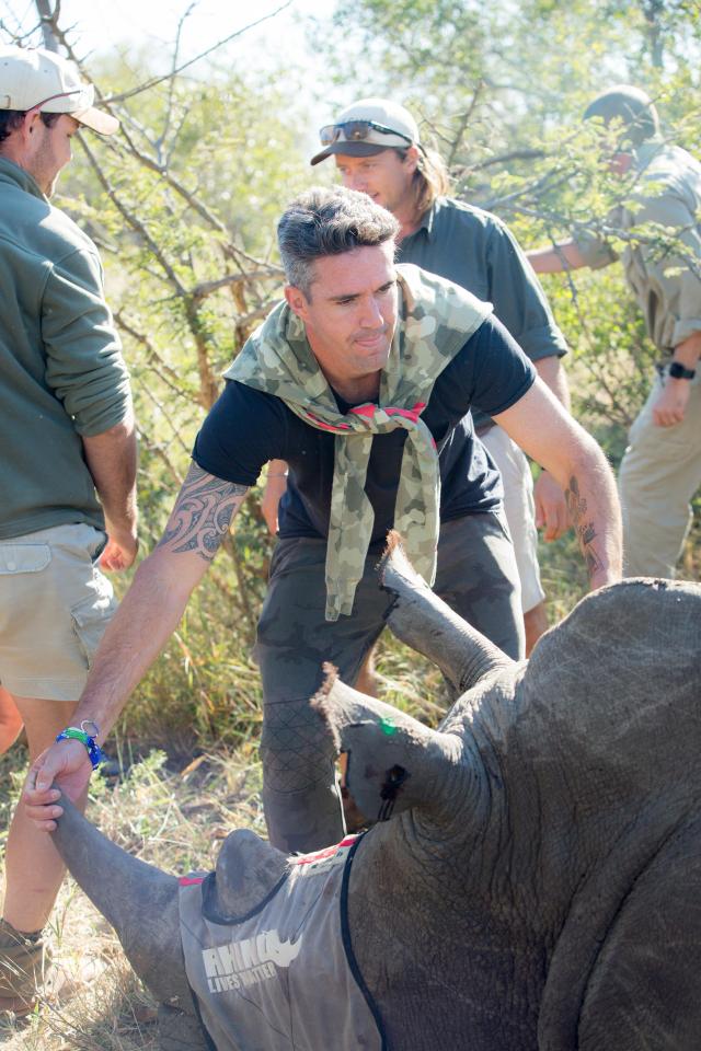  Kevin Pietersen is now completely committed to saving the rhinos