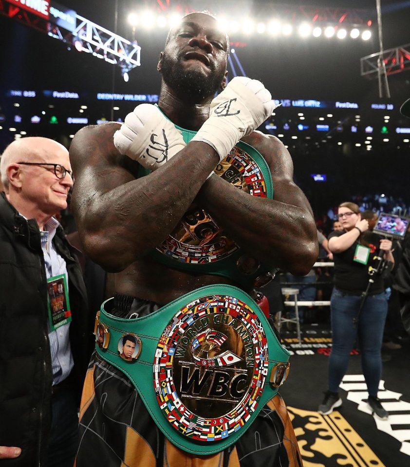  Deontay Wilder appeared hurt a handful of times but he battled back to stop Ortiz