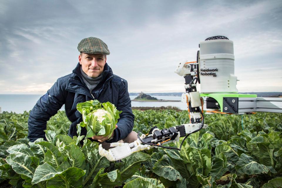  Farmers might be able to solve a labour shortage after Brexit with robotic crop pickers