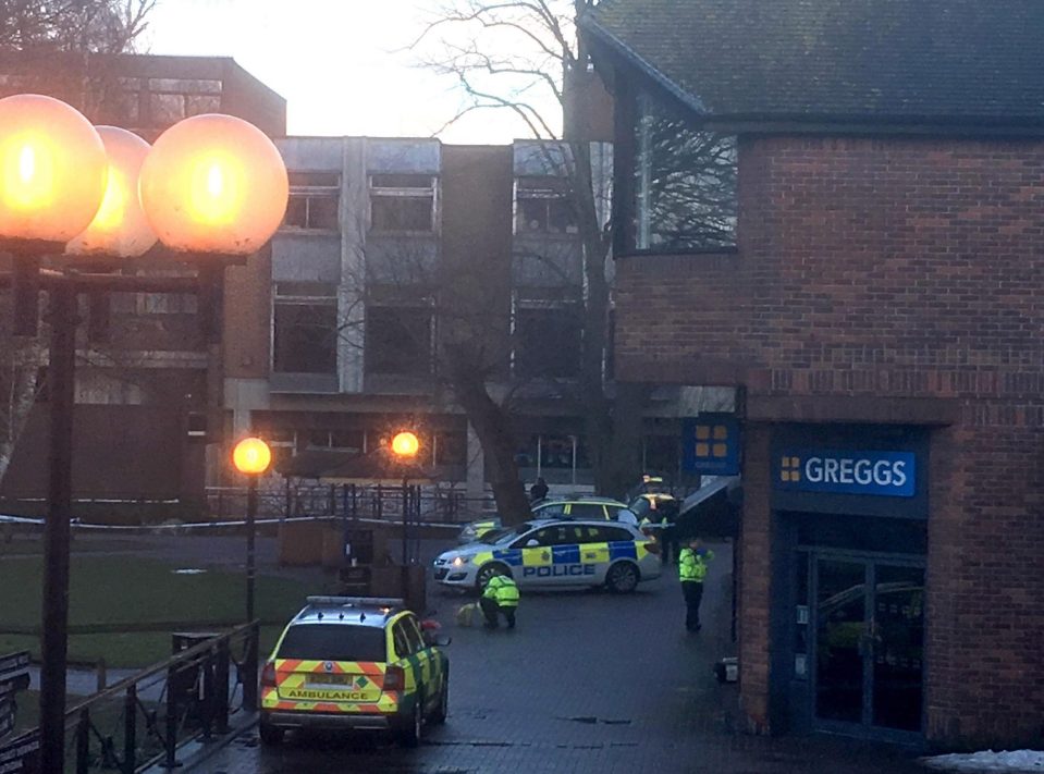  The pair were later found slumped on a bench near a shopping centre by a hero cop who was also admitted to hospital after coming into contact with the poison in Salisbury, Wilts