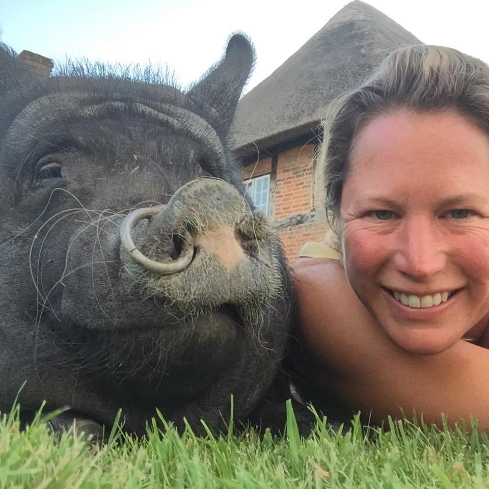  Millie Lemon did not tell her husband before bringing the runaway pig into the house