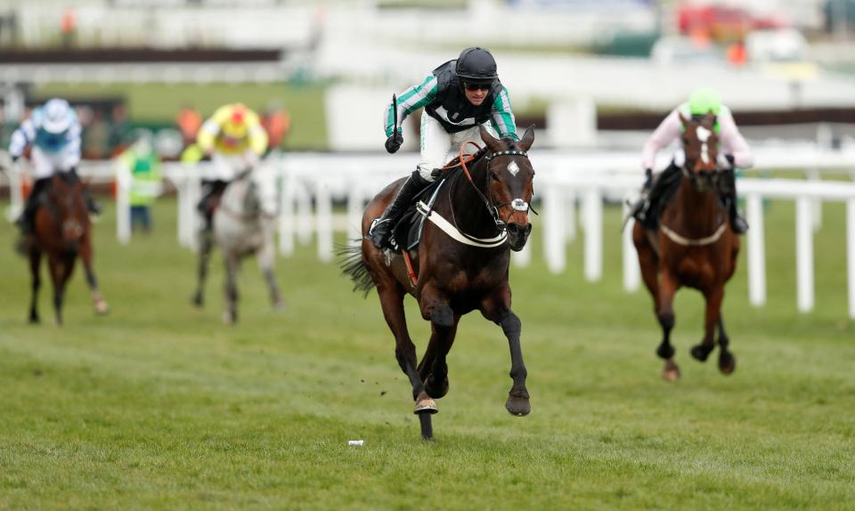  Altior showed no sign of injury during the Champion Chase