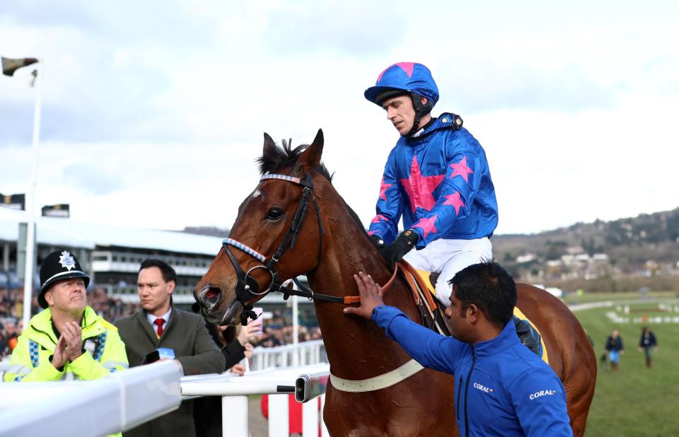  Cue Card was pulled up at the Cheltenham Festival