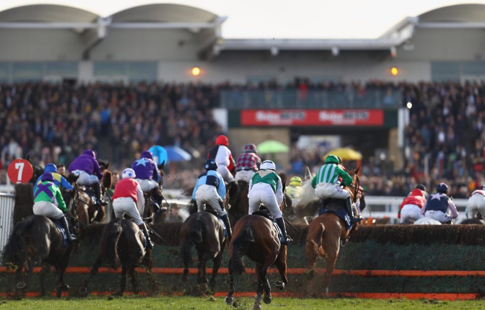  Four horses died at the Cheltenham Festival last year while there were seven fatalities in 2016