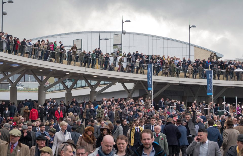  More than 70,000 fans attended Friday's action when four horses were put down