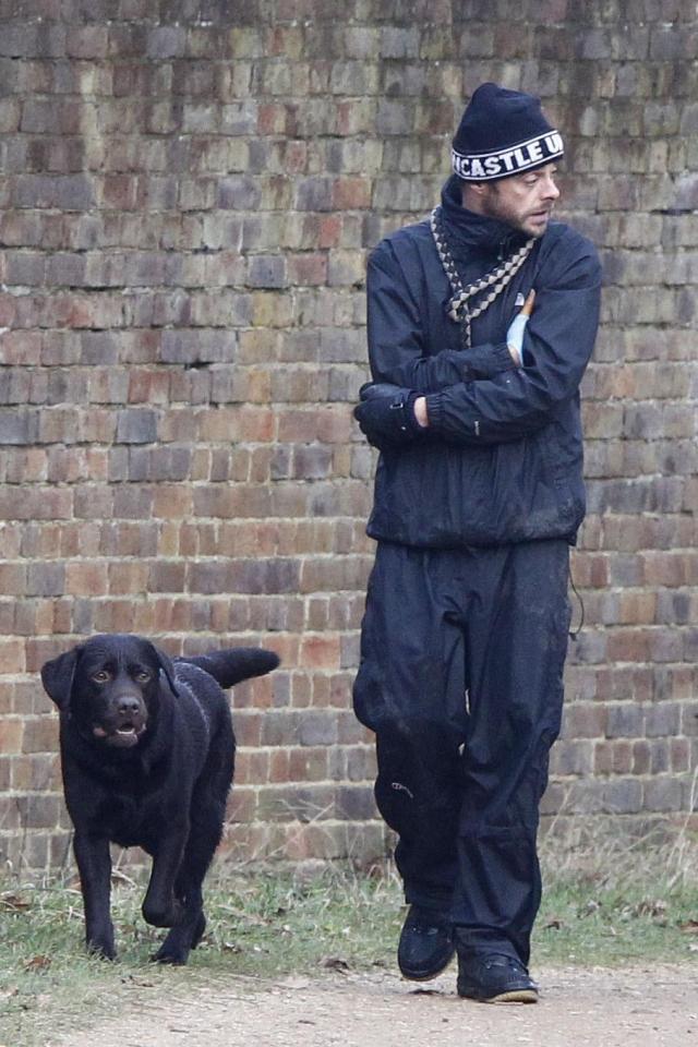  Ant had been pictured taking his dog for a walk before the crash