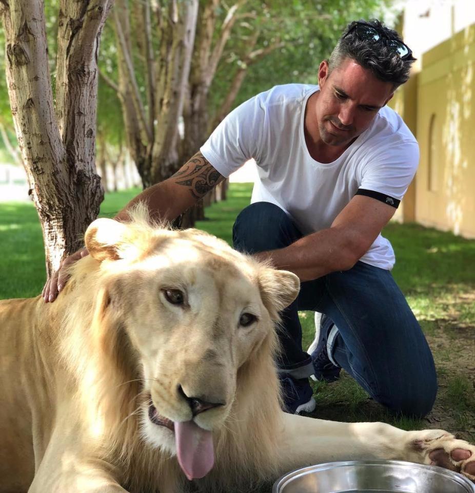  Kevin Pietersen has long been concerned with the welfare of animals