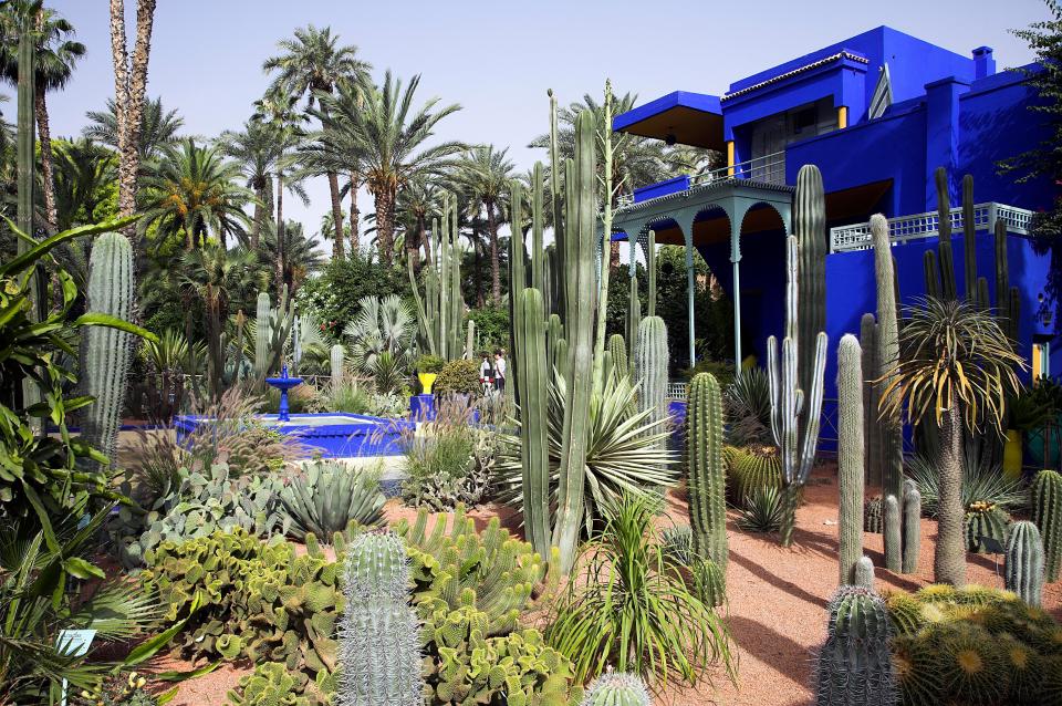  Marrakech's French-designed Jardin Majorelle, which is now owned by fashion designer Yves Saint-Laurent