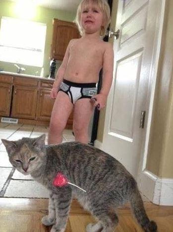 A cat got stuck in a sticky situation when it walked too close to this boy’s lolly