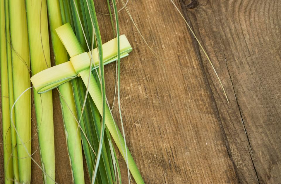  In many countries, believers create crosses from palm fronds as a celebration of the festival