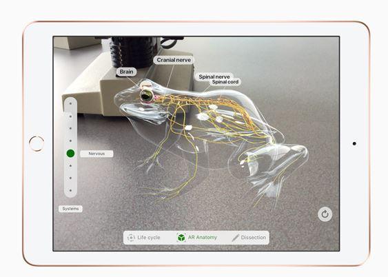  It's got augmented reality features – like this cool virtual frog dissection simulator