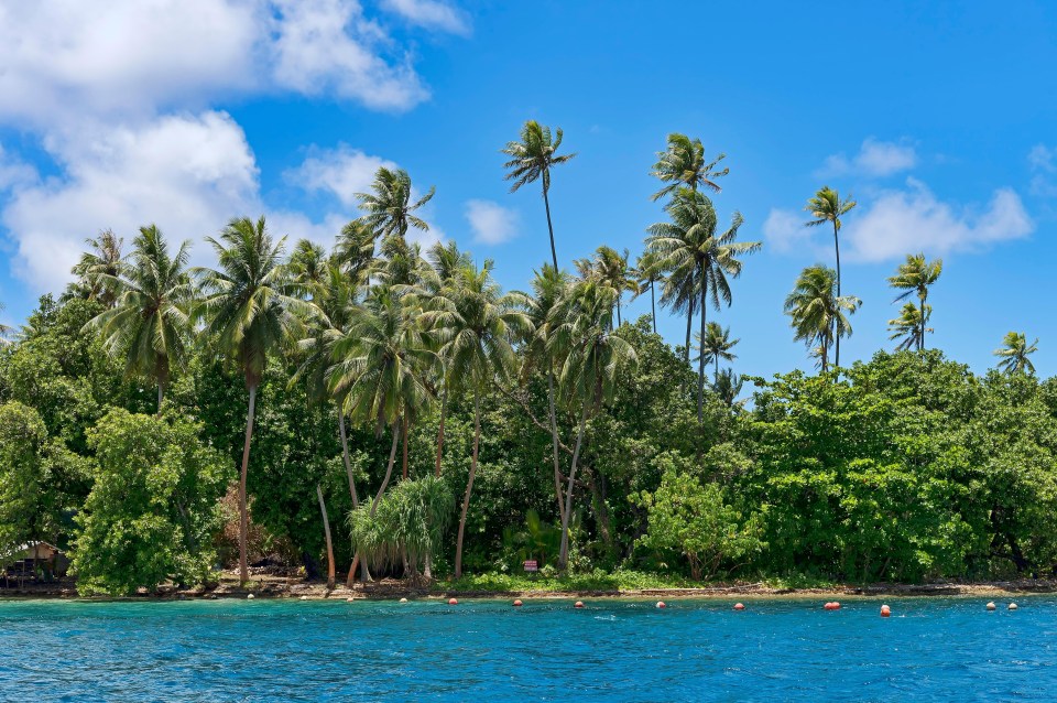 Palm beach island on the South Pacific