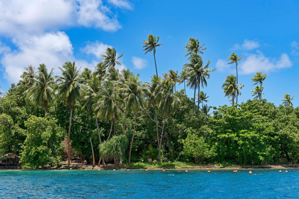  Palm beach island on the South Pacific