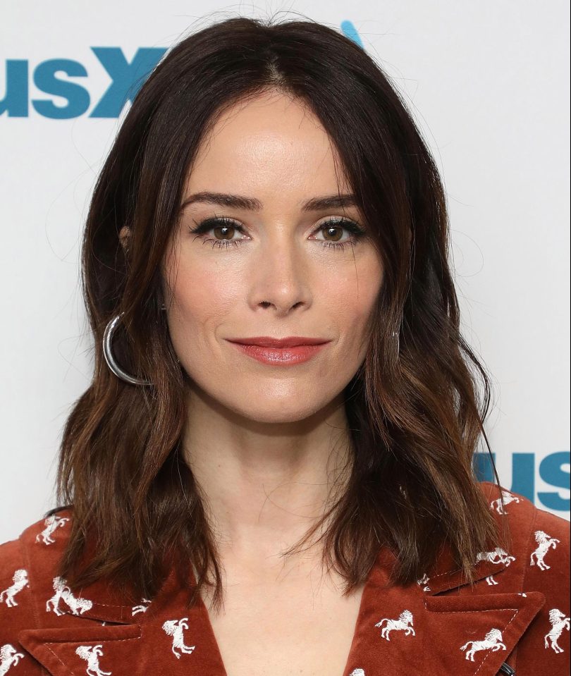  Abigail Spencer plays Dana Scott