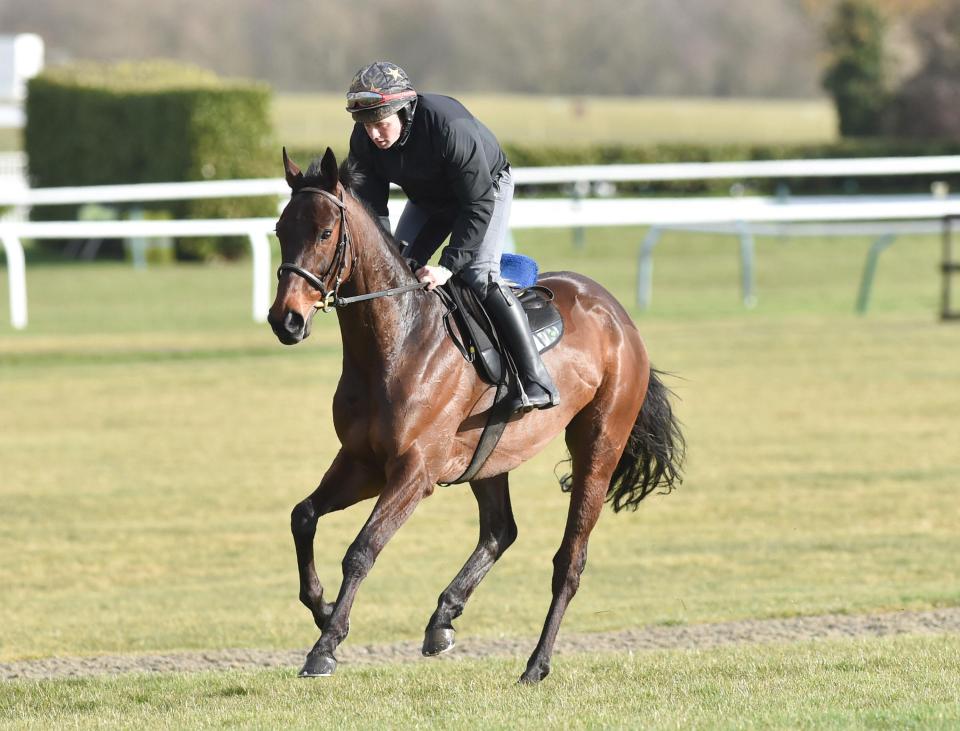  Getabird gallops at Cheltenham racecourse on Sunday morning