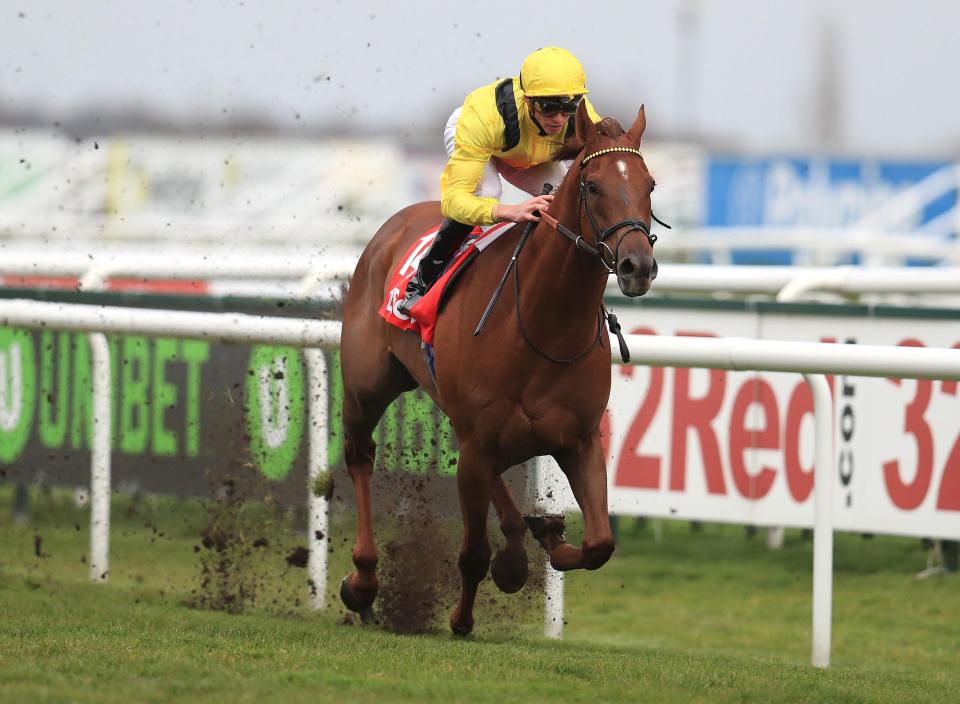  Addeybb won the Lincoln at Doncaster on his previous start with a dominant display