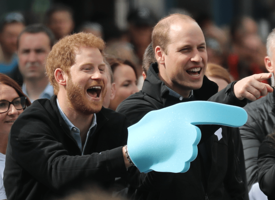  Prince William and Prince Harry have a close relationship as brothers