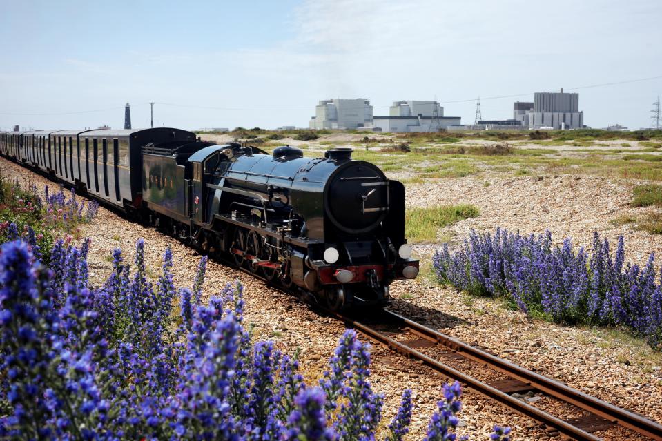  Fancy trying something a little bit different? The Romney, Hythe & Dymchurch Railway is a fantastic alternative holiday activity