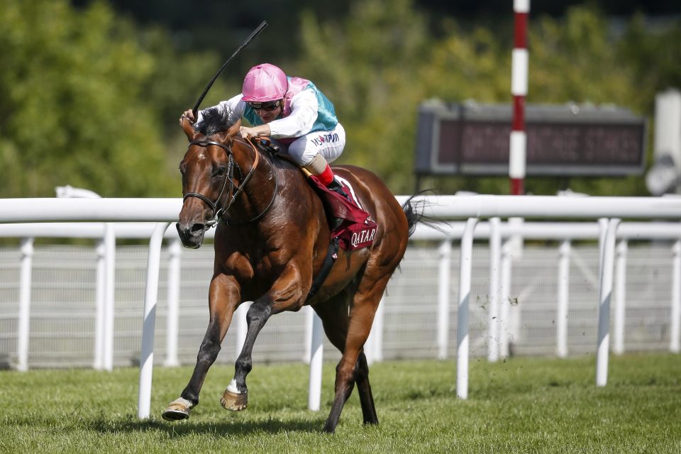  Expert Eye is bidding for redemption in the Greenham Stakes