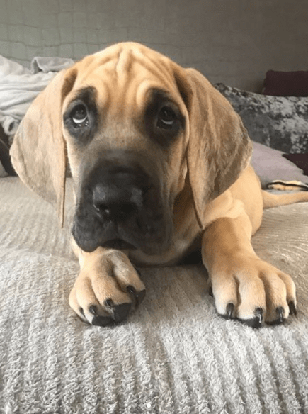  Little Melvin is just eight weeks old