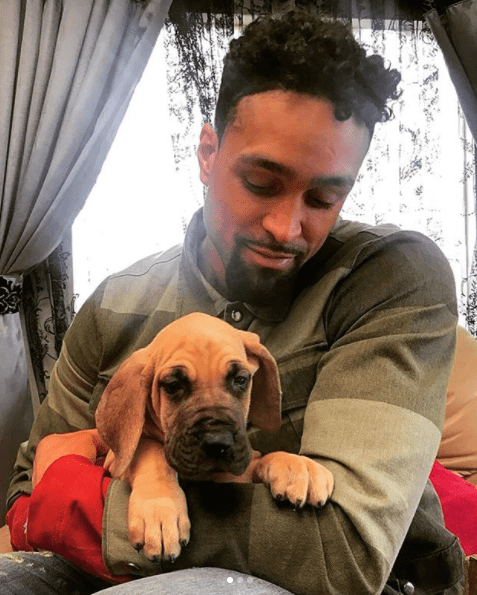  His new Great Dane puppy Melvin will be helping to heal his heartbreak