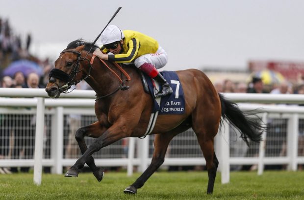 James Garfield drops back in trip at Haydock - and he looks dangerous