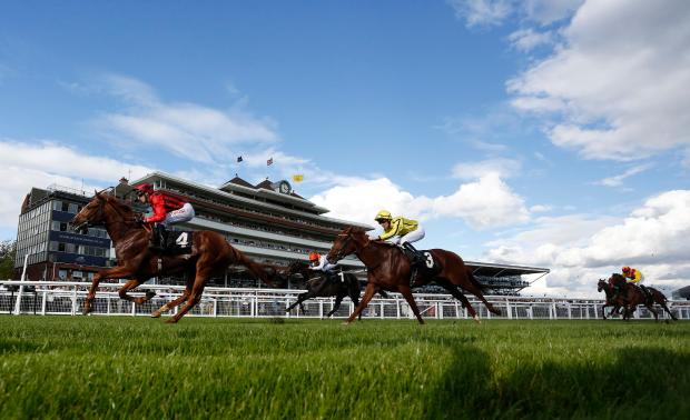 Newbury racecourse