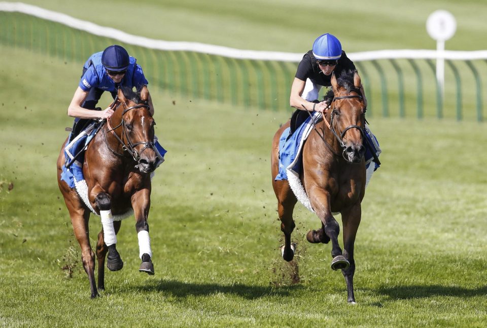  Wild Illusion (right) also galloped before racing