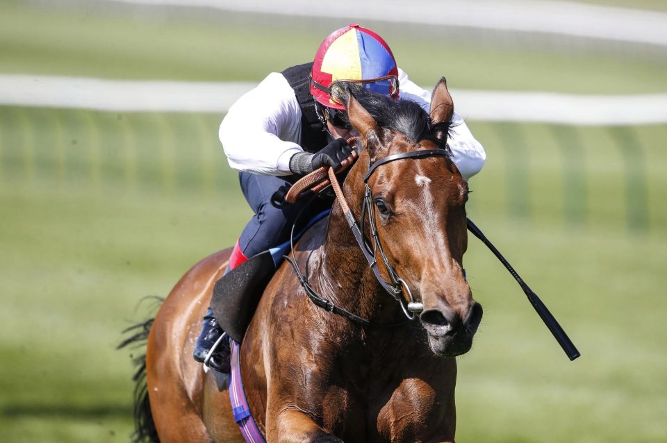  Veracious gave Dettori a good feel at Newmarket