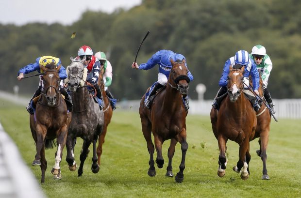 Salisbury racecourse