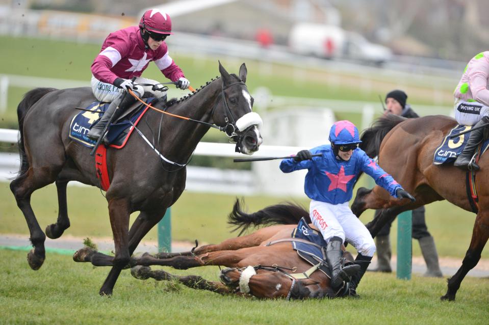  This Gold Cup fall in 2016 was one of two heartbreaking blunders at the Festival