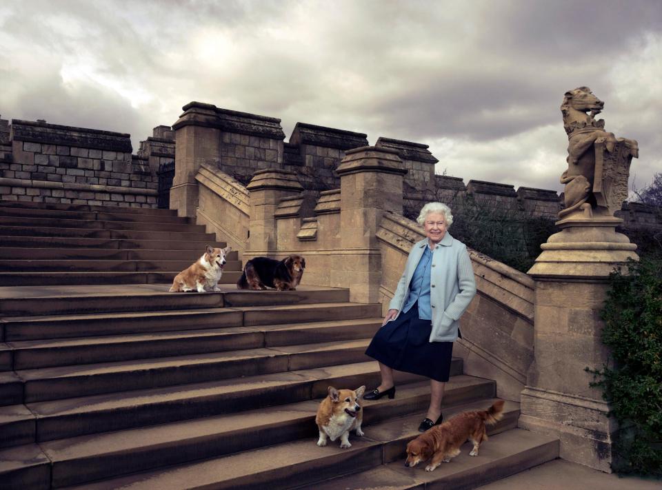  Willow, top left, pictured with the Queen, in an official image to mark her