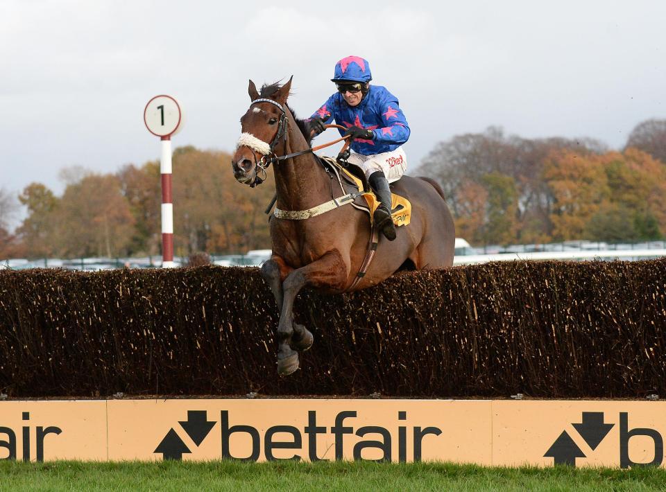  Cue Card won £1.45million in prize money