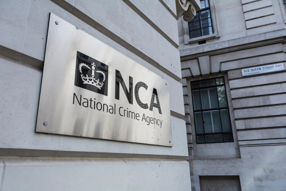 An international operation, which involved the UK National Crime Agency, blocked Webstresser.org